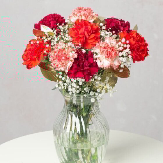 Christmas Candy Letterbox Beautiful & Affordable House Plants