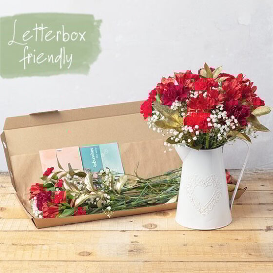 Christmas Wishes Letterbox Beautiful & Affordable House Plants