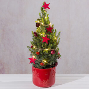 Decorated Festive Christmas Tree