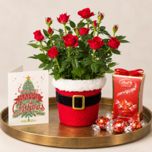 Santa Red Rose Gift